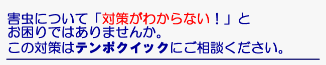 害虫について、「対策がわからない！」とお困りではありませんか。この対策はご相談ください。