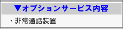 オプションサービス内容